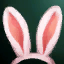 Test - Rabbit Ears
