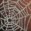 Giant Cobweb