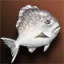 Fish Soup