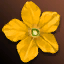 Augustina's Essence Lv. 3 (Time-limited)