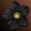 Augustina's Essence Lv. 1 (Time-limited)