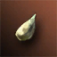 Large Pumpkin Seed