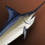 Tuna