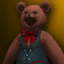 Bear Outfit