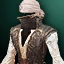 Collector's Armor C