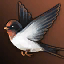 Swallow Lv. 1 (Time-limited)