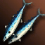 Blue Mackerel - Dual Swords (Event)